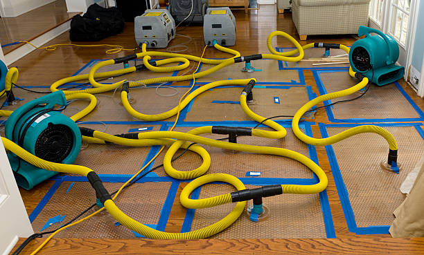 Professional Burst Pipe Water Damage technician working in Wana, WV